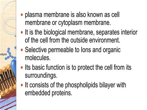 plasma membrane FUNCTION AND STUCTURE..pptx