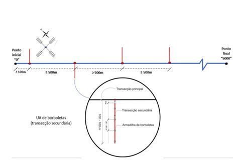 2 Implementação do componente florestal