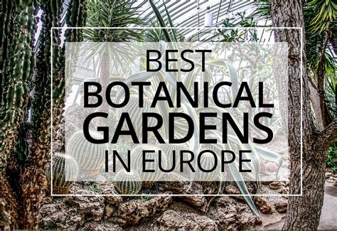 botanical gardens  europe  flower gardens  europe