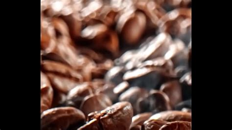 Front Tight Pussy Fucking Search Xvideos