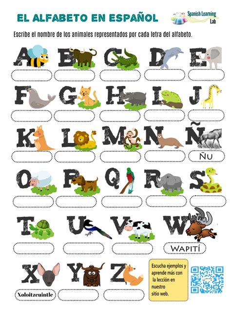 Alphabet Animals Animales Del Alfabeto Educa Y Aprende En Casa