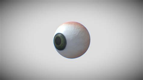 Human Eye Download Free 3d Model By 4dnewbie 6b48c8a Sketchfab