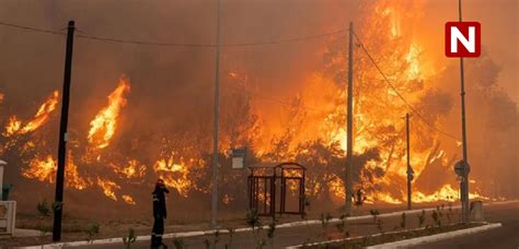 Por cambio climático incendios forestales devastan miles de hectáreas