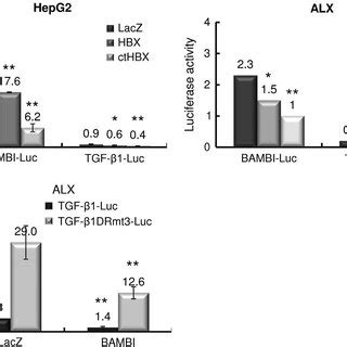 Modulation Of Bambi Tgf Expression By Hbx Or Cthbx A Hepg And