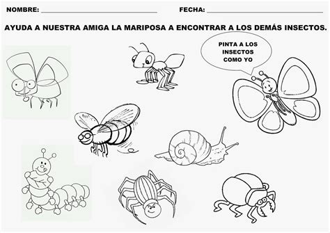 Trabajando Con Personitas Conocemos Más Insectos Como La Mariposa Actividades De Insectos