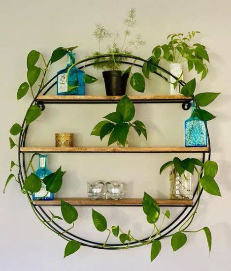 38 Stunning Pothos Wall Decor Ideas How To Decorate With Pothos