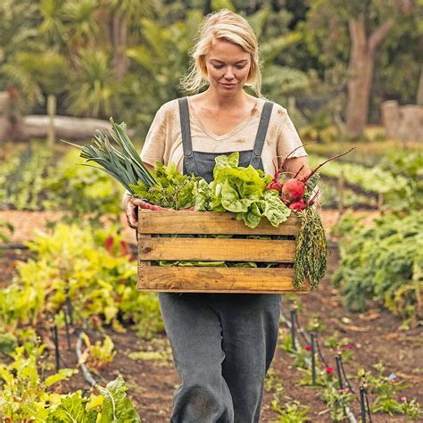 When And How To Harvest Vegetables In Your Summer Garden The Home Depot