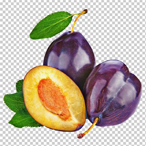 European Plum Fruit Natural Foods Food Plant PNG Clipart Common Fig