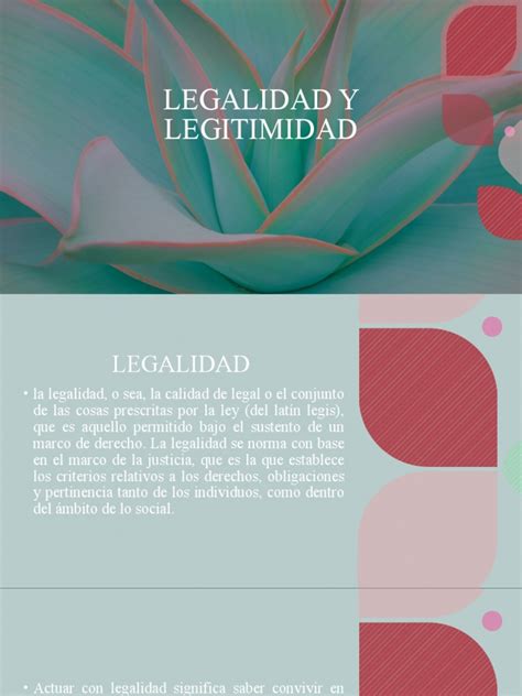 Examen Legalidad Y Legitimidad Pdf