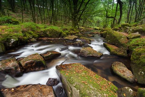 Woodland Waterfalls Cornish Wall Art