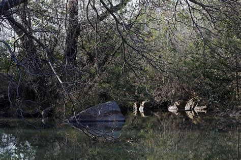 Pond with Reflection 10122811 Stock Photo at Vecteezy