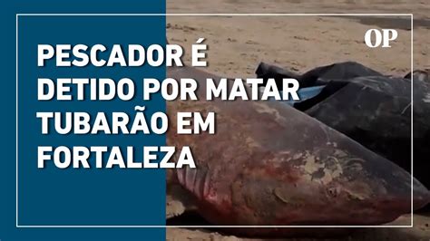 Tubar O Em Praia De Fortaleza Pescador Detido Por Matar Esp Cie