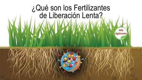 Qu Son Los Fertilizantes De Liberaci N Lenta Infoagronomo