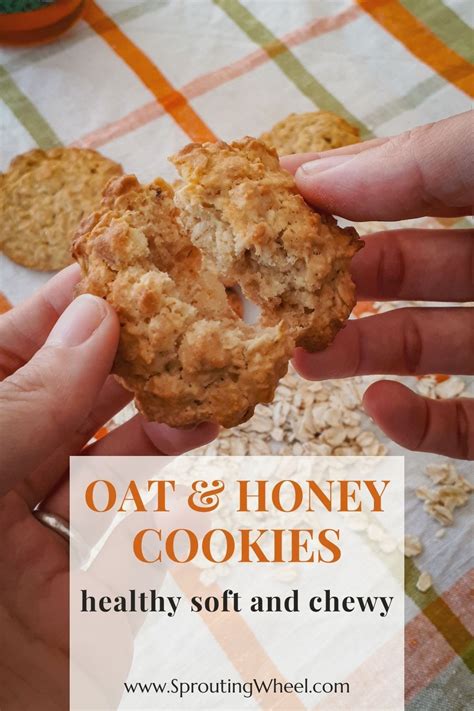 Chewy Oat Honey Cookies Artofit