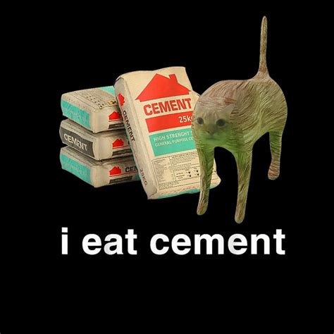 I Eat Cement Cursed Cat Funny Oddly Specific Meme Digital Png Etsy