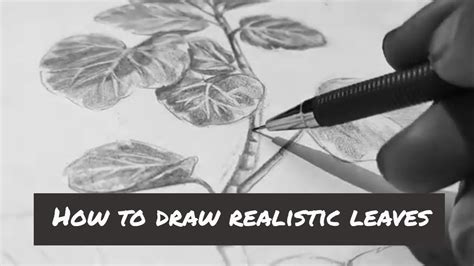 Leaf Pencil Shading