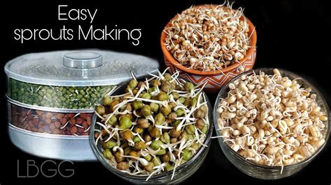 How To Make Sprouts At Home Sprout Maker Demo Reviews And How To