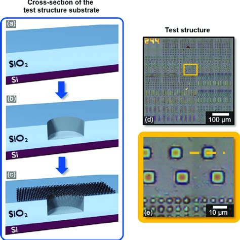 Cross Sectional Schematic Of The Fabrication Process For Test