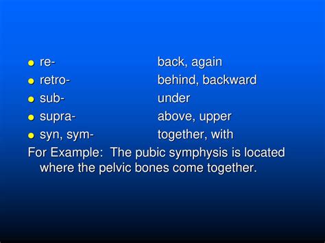 Chapter 4 Prefixes A An Mean No Not Without Ppt Download