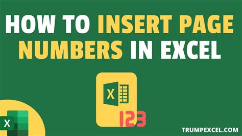 How To Automatically Insert Page Numbers In Excel Printable Online