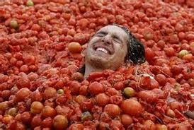 Spanish town charges for La Tomatina food fight - IGCAT