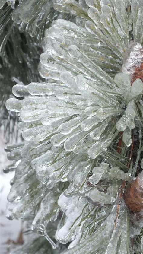 Ice Storm Toronto 2013