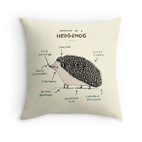 Anatomy Of A Hedgehog By Sophie Corrigan Redbubble Hedgehog Throw