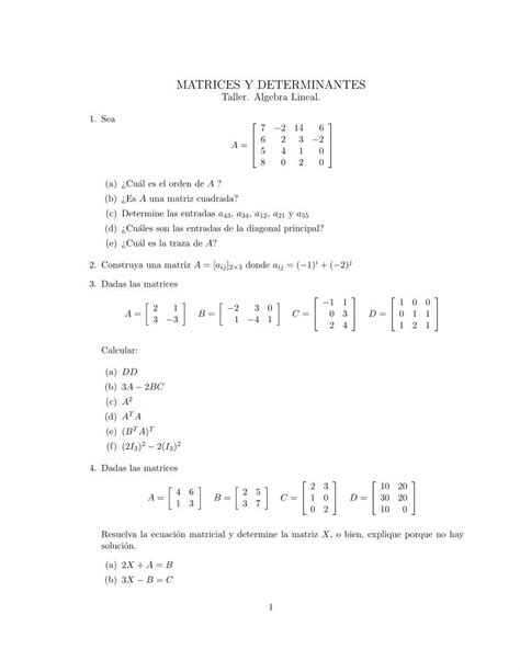 Pdf Matrices Y Determinantes Taller Algebra Pdf Filematrices Y