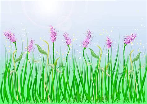 Grass Floor Vector Art Png Images Free Download On Pngtree