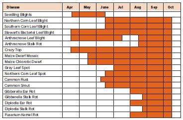 Corn Disease Scouting Calendar Knox County Agricultural News