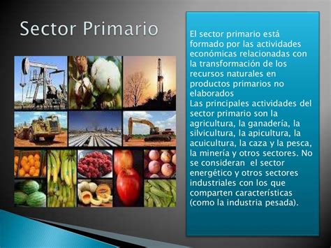 Sectores Productivos