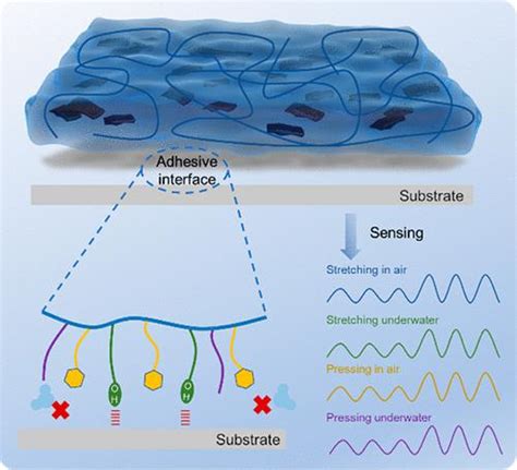 Bio-Inspired Instant Underwater Adhesive Hydrogel Sensors