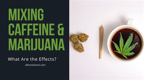 Mixing Caffeine And Weed Effects And Drug Interactions