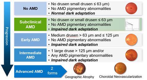 Biology of AMD - MacuLogix