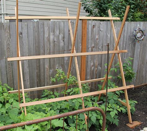 Raspberry Rack Raspberry Trellis Backyard Garden Beds Raised Bed