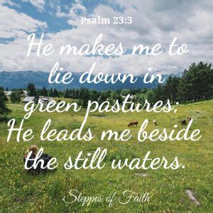 Understanding Psalm 23: What God Meant by Green Pastures and Still Waters