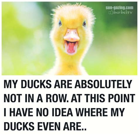 May Be An Image Of Text That Says Sun Gazing Tinfinity My Ducks