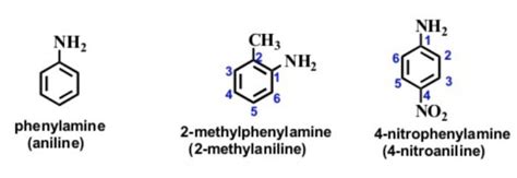 Nomenclature of Simple Aromatic Compounds - Chemistry, Class 11, Organic Chemistry - Some Basic ...