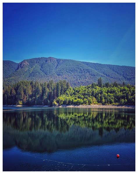 Thirsty Trees Rvancouver