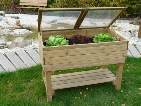 Carr Potager Sur Pieds Avec Serre X X Cm Solid Mr