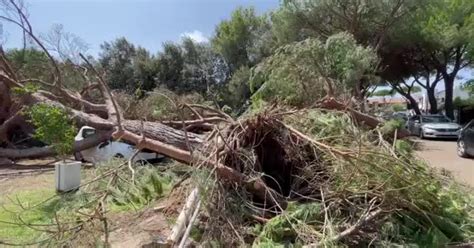 Tromba D Aria Sabaudia Oggi Il Video Con I Danni Nel Lido Di Latina A