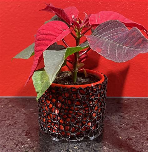 Plant pots - Voronoi - Etoile de Noël by Padu | Download free STL model | Printables.com