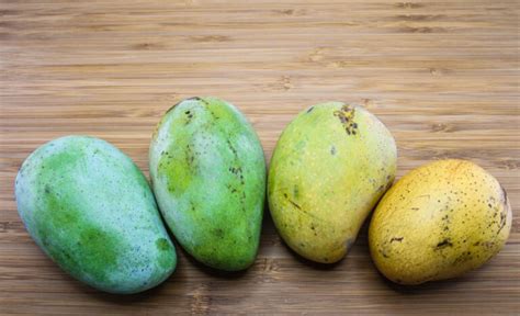 How To Tell If A Mango Is Bad Unmissable Signs Fruit Moose