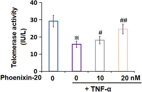 The Protective Effects Of Phoenixin In Tumor Necrosis Factor Tnf