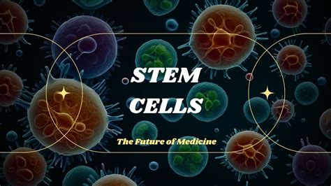 How Stem Cells Are Revolutionizing Modern Medicine Cure Science