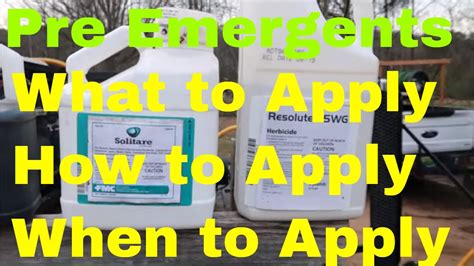 How What And When To Apply Pre Emergent To A Lawn For Weed Control