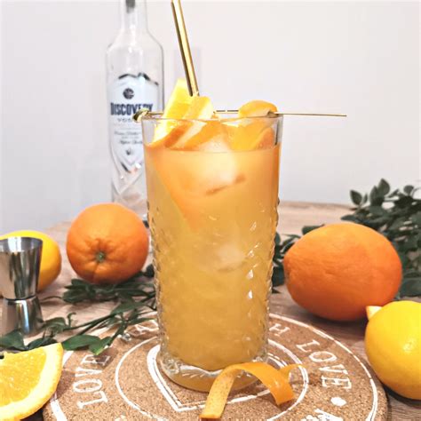 Screwdriver Cocktail Recipe Foodiosity