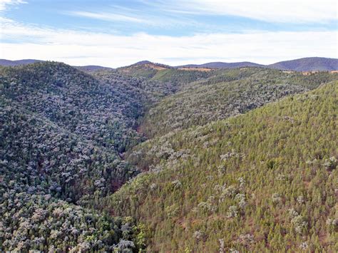 People are gathering for sundown september events in the park 1