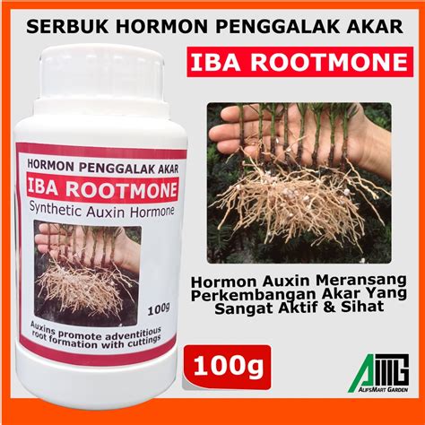 Iba Rootmone Serbuk Penggalak Akar Growth Rooting Auxin Hormone