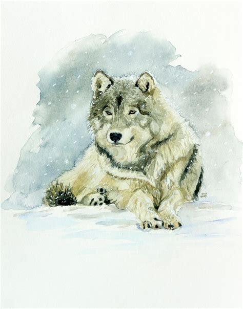 Snow wolf by evgeniabel on DeviantArt